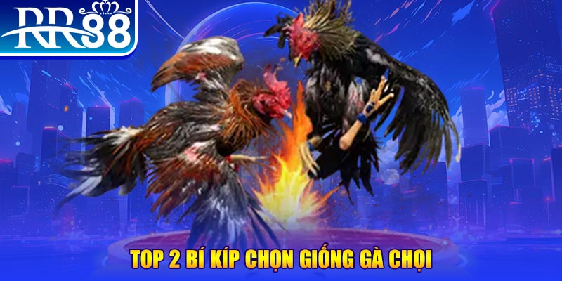 98vin đăng nhập poker số 1