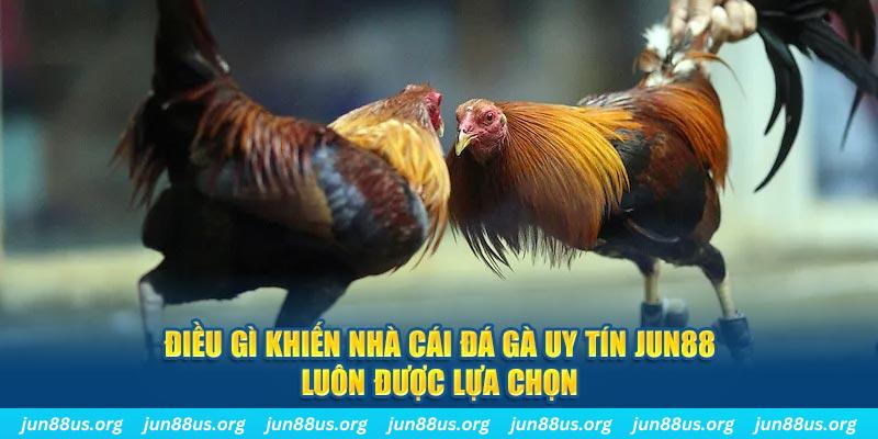 98vin qq88 nổ hũ bắn cá