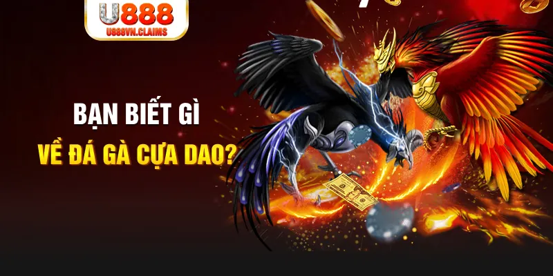 98vin xổ số kiến thiết