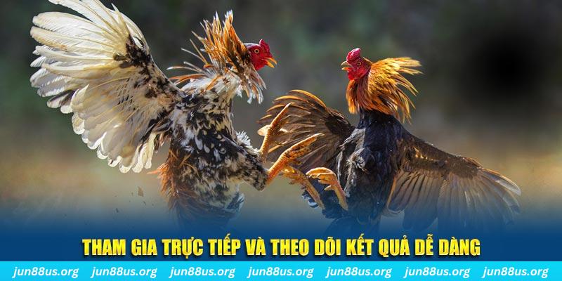 98vin đá gà trực tiếp bình luận viên