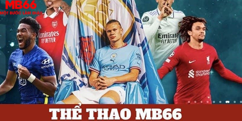 98vin trực tiếp đá gà 67