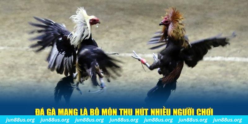 98vin xổ số cà mau