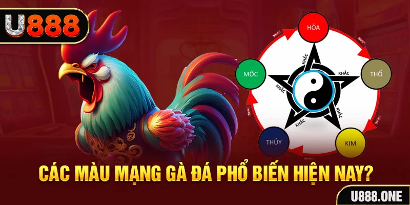 98vin đăng nhập mậu binh