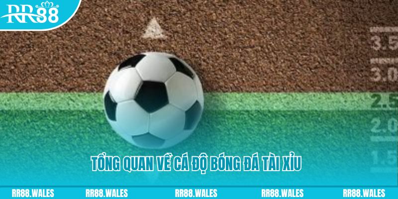 98vin đăng nhập lô đề online