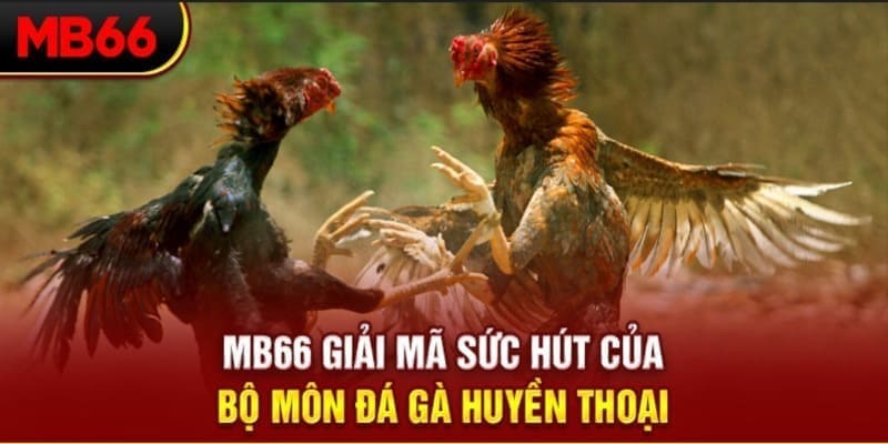 98vin Phi Đội Ưu Tú