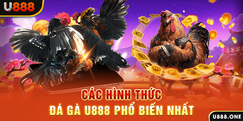 98vin DB Trực Tuyến