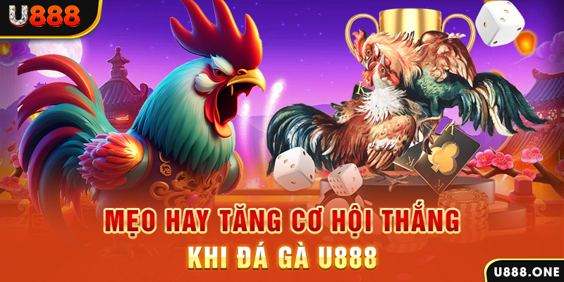 98vin trực tiếp gà chọi c1