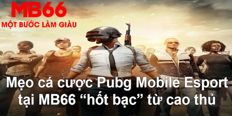 98vin gà chọi mộc hóa
