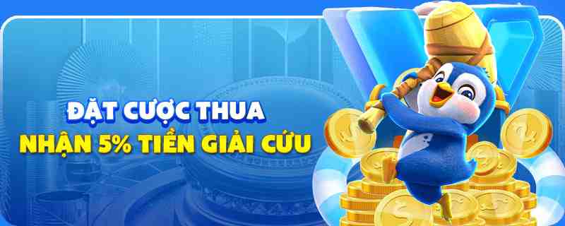 98vin gà chọi cu cần