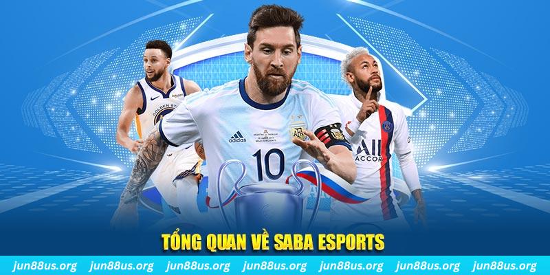 98vin gà chọi c1 tv trực tiếp hôm nay